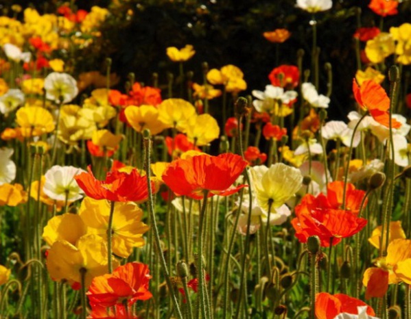 1637021599878514.jpg image.jpg