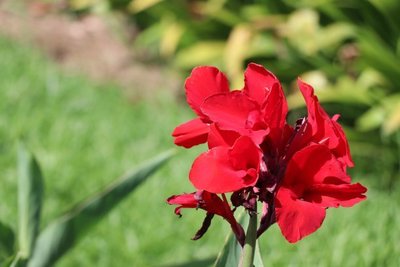 1637144888185587.jpg 1637144888185587.jpg