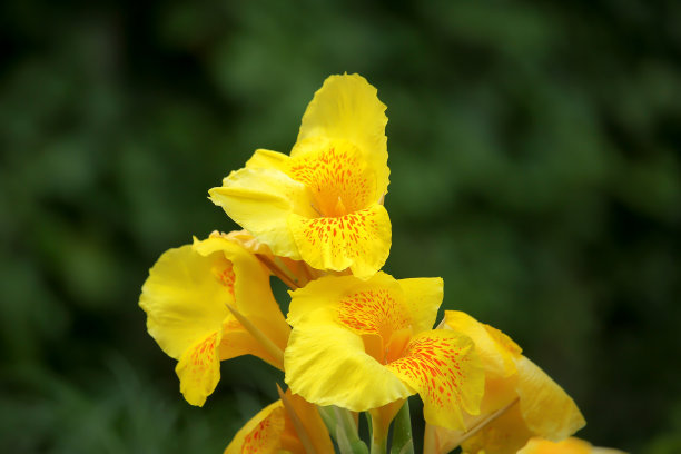 1637229660647156.jpg 1637229660647156.jpg