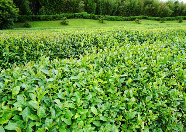 1637231025680079.jpg 1637231025680079.jpg