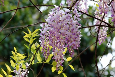 1637375701491985.jpg 1637375701491985.jpg