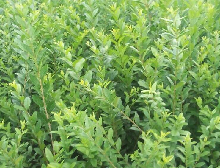 1637479404681521.jpg 1637479404681521.jpg