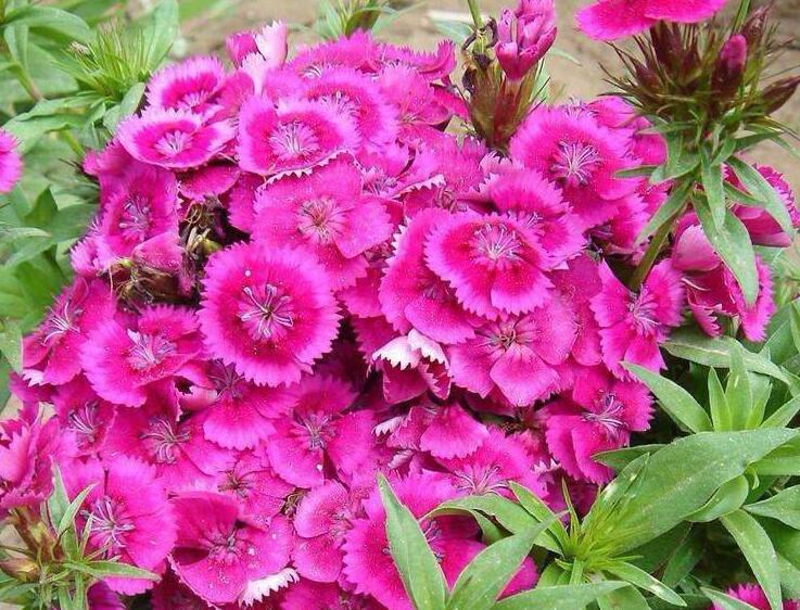 1638977438648397.jpg 1638977438648397.jpg