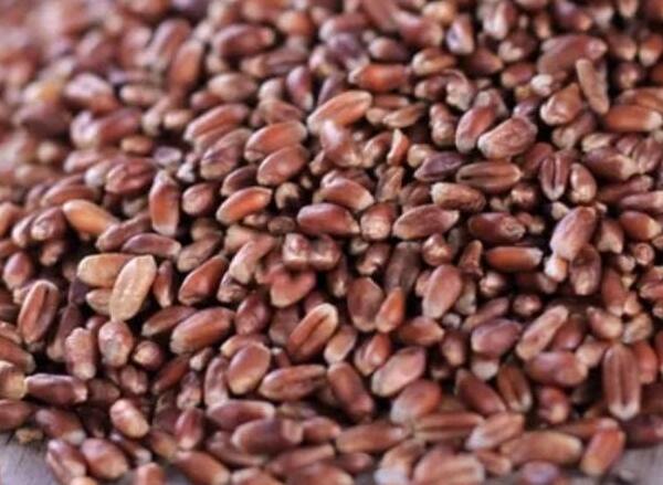 1639198384681117.jpg 1.jpg