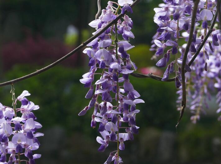 1639465429301689.jpg 1639465429301689.jpg