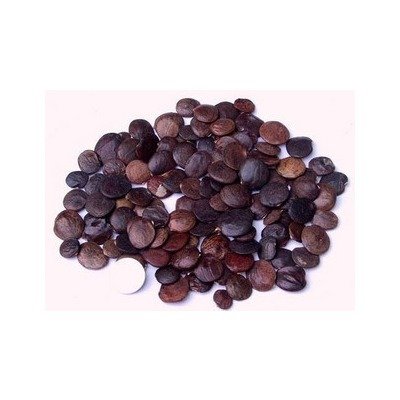 1639825113975596.jpg 1639825113975596.jpg