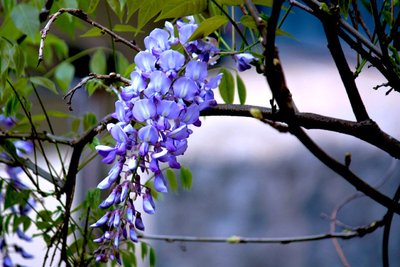 1639825138739834.jpg 1639825138739834.jpg