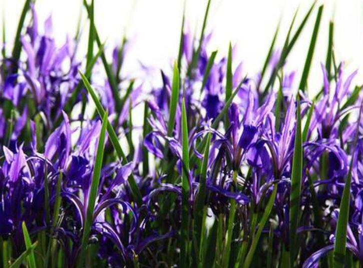 1639875527561392.jpg 1639875527561392.jpg