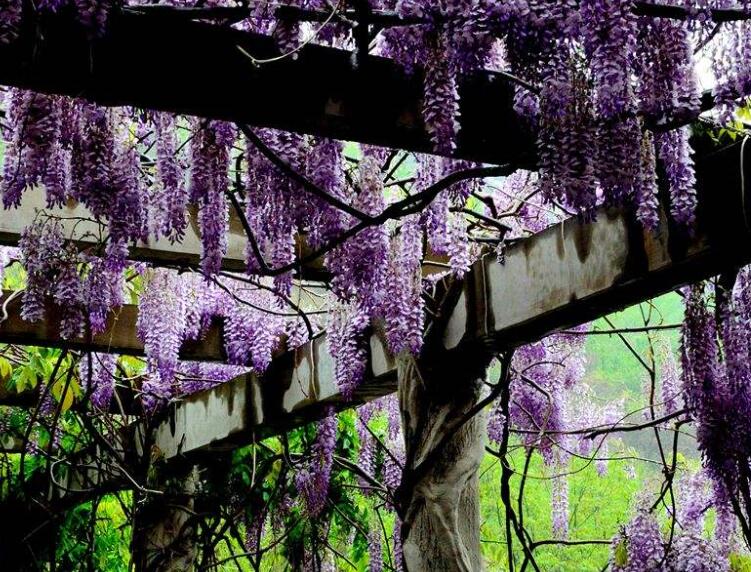 1639876675252008.jpg 1639876675252008.jpg