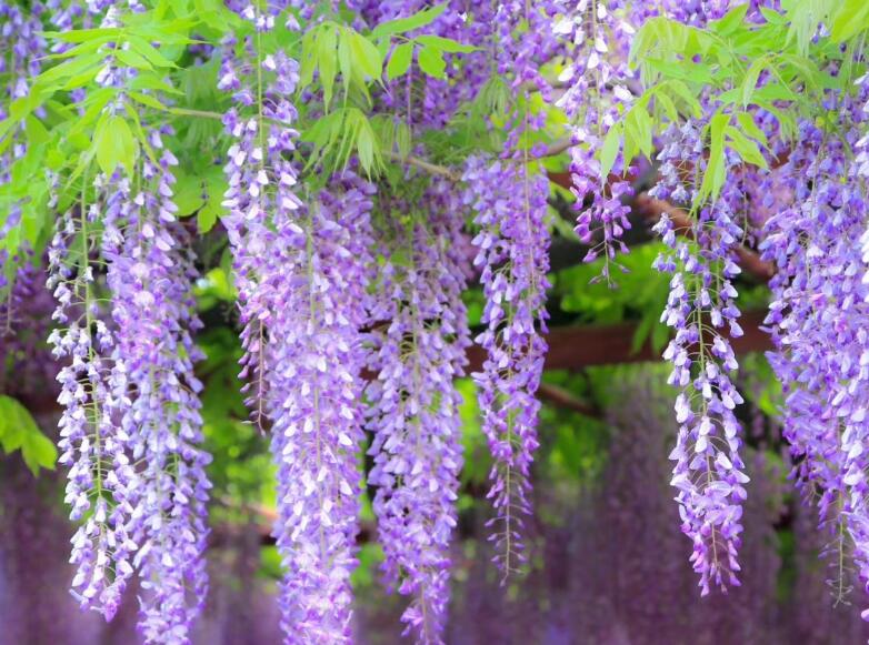 1639876682689148.jpg 1639876682689148.jpg