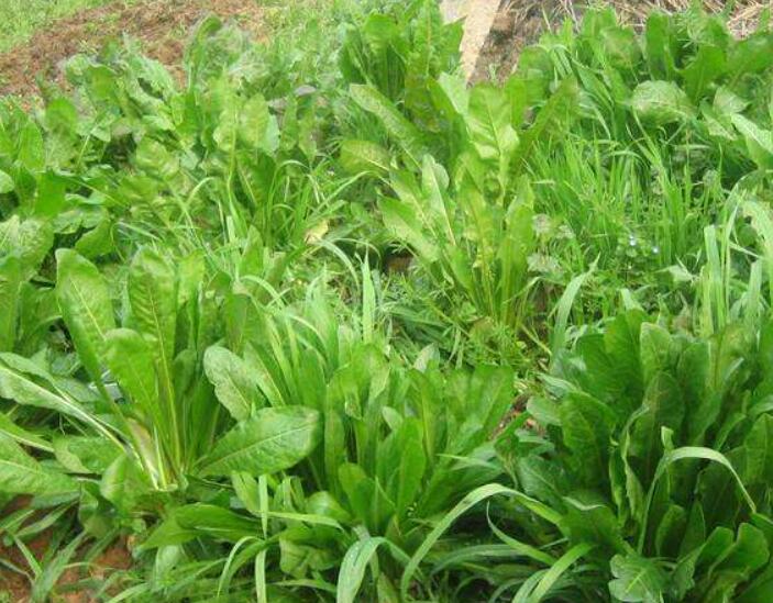 1640065872987310.jpg 1640065872987310.jpg