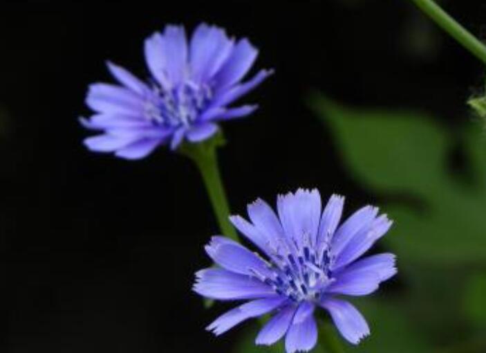 1640065877769609.jpg 1640065877769609.jpg