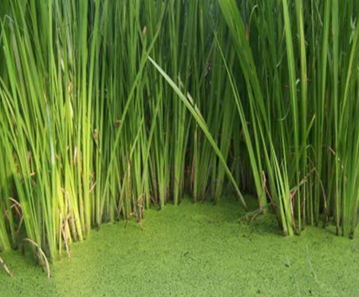 1640097581639548.jpg 1640097581639548.jpg