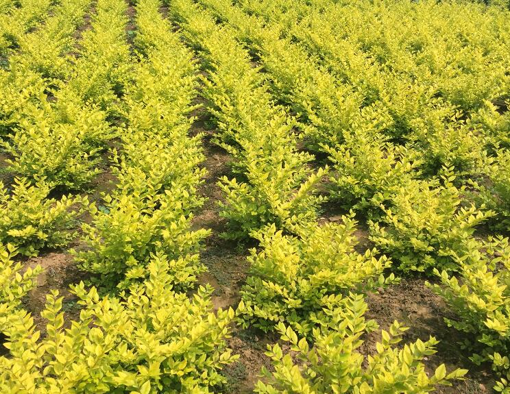 1640237573475842.jpg 1640237573475842.jpg