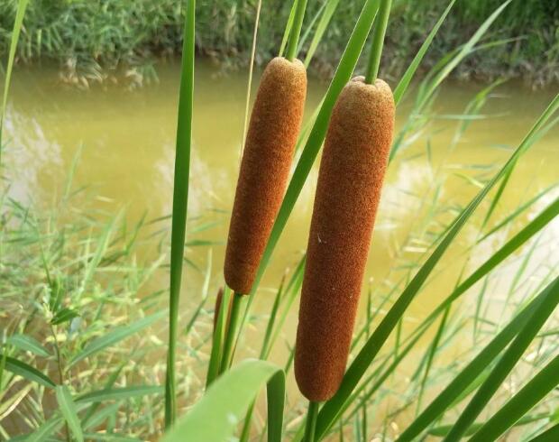 1640250267231078.jpg 1640250267231078.jpg