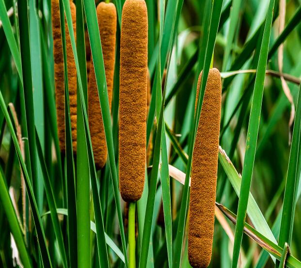 1640250267417675.jpg 1640250267417675.jpg