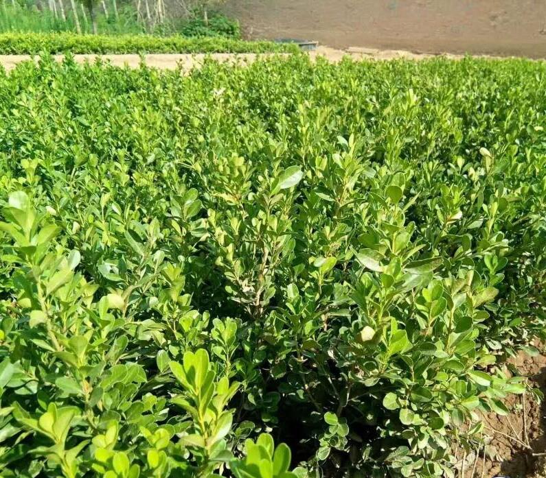 1640322956382437.jpg 1640322956382437.jpg