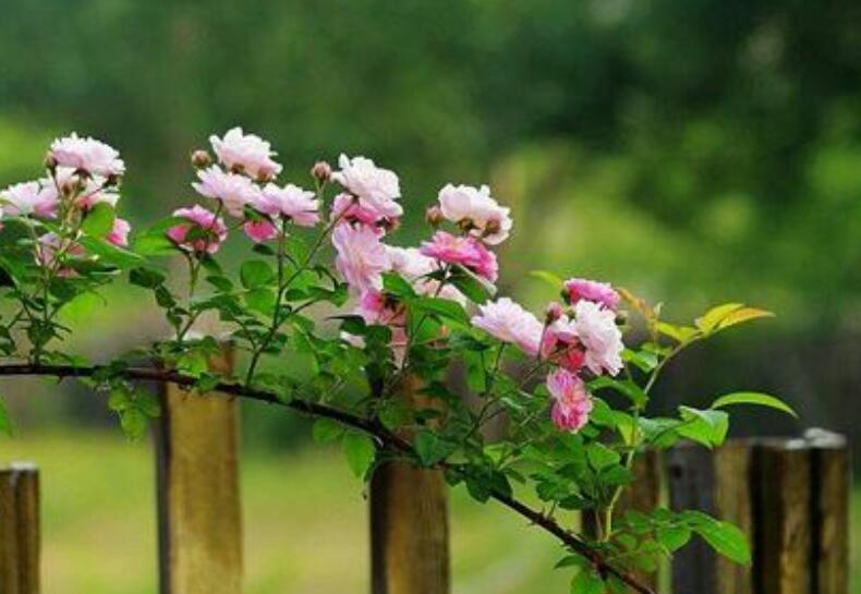 1640327015955500.jpg 1640327015955500.jpg