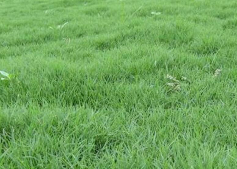 1640414001547171.jpg 1640414001547171.jpg