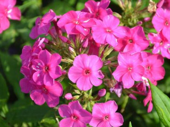 1640431489901967.jpg 1640431489901967.jpg