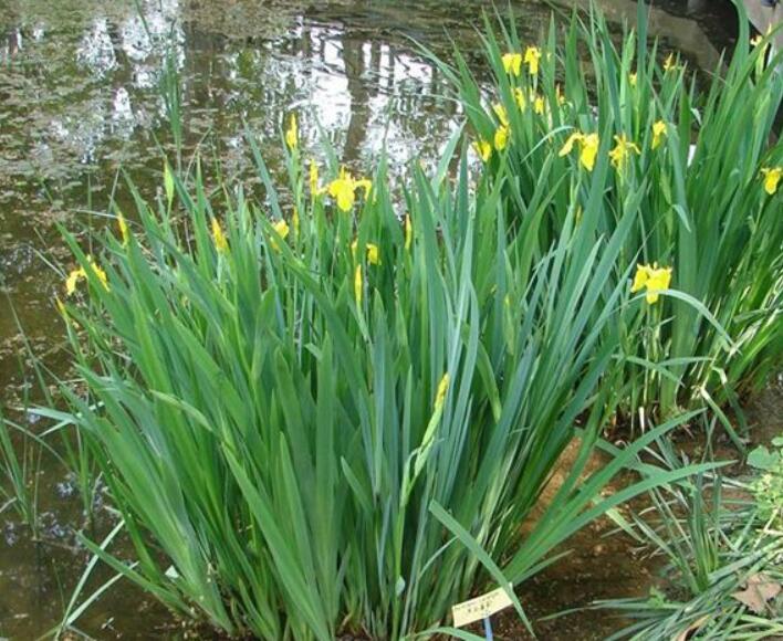 1640529218683849.jpg 1640529218683849.jpg