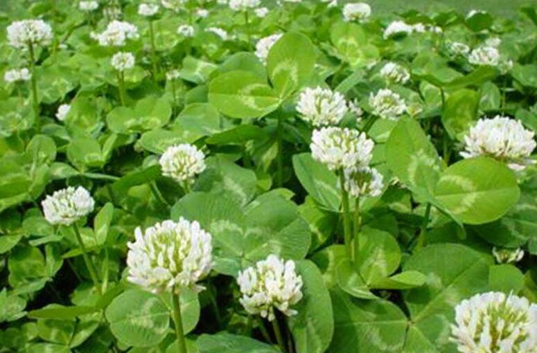 1640531659800370.jpg 1640531659800370.jpg