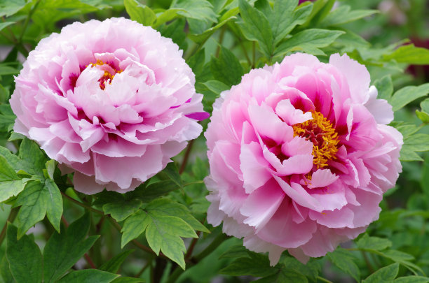 1641209930266508.jpg 1641209930266508.jpg