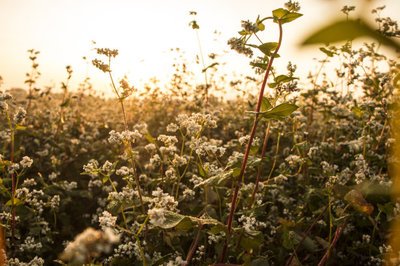 1641211383743022.jpg 1641211383743022.jpg