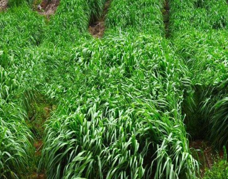 1641738010271837.jpg 1641738010271837.jpg