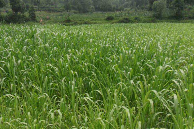 1641739256215969.jpg 1641739256215969.jpg