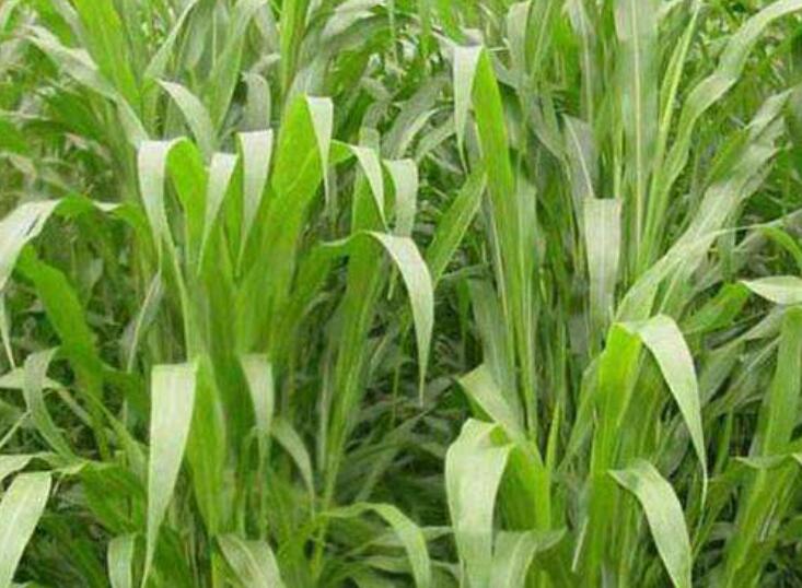 1641795844948774.jpg 1641795844948774.jpg