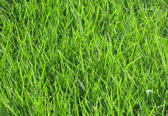 1641813196582279.png 1641813196582279.png