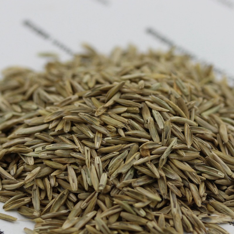 1641813242658812.jpg 1641813242658812.jpg