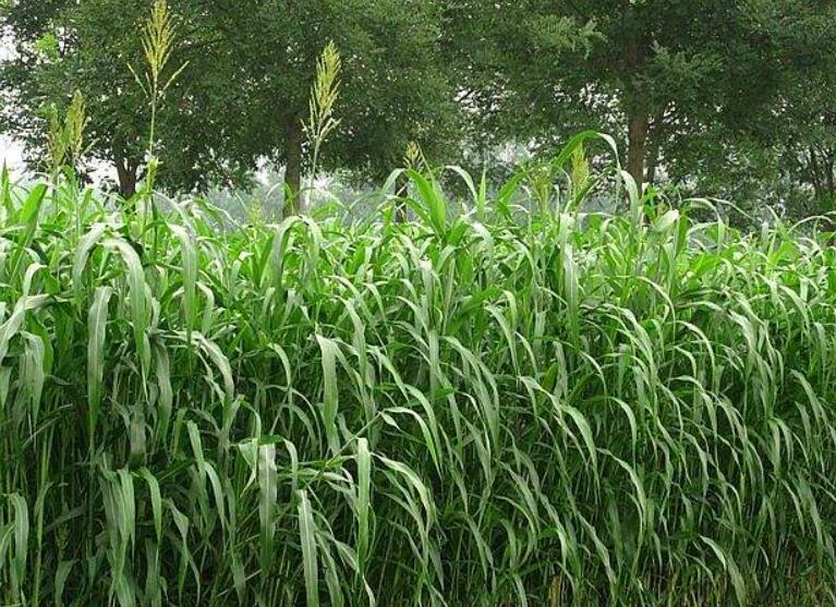 1641825702815812.jpg 1641825702815812.jpg