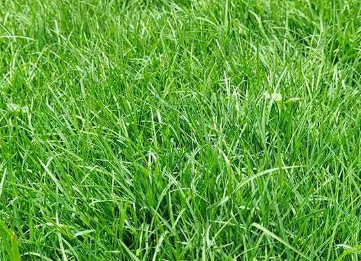 1641876582927313.jpg 1641876582927313.jpg