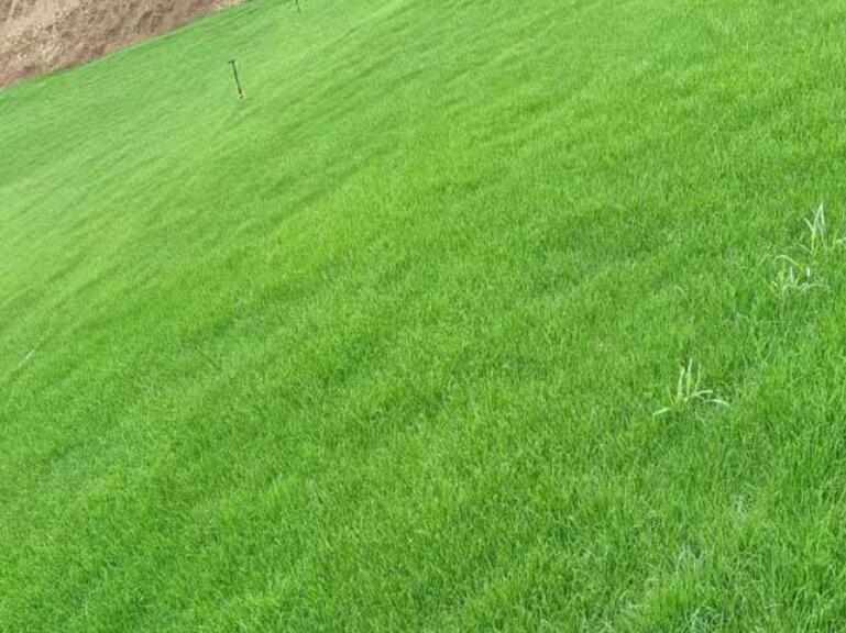 1641876599528093.jpg 1641876599528093.jpg