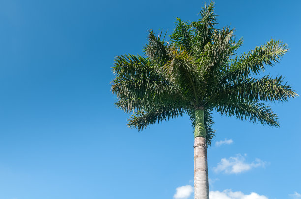 1641898833407812.jpg 1641898833407812.jpg