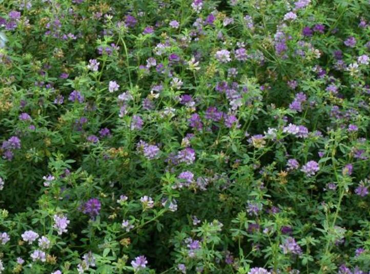 1641911323223110.jpg 1641911323223110.jpg