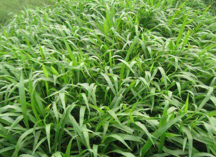 1641912608509639.jpg 1641912608509639.jpg