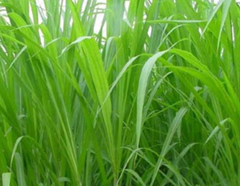 1641978116874601.jpg 1641978116874601.jpg