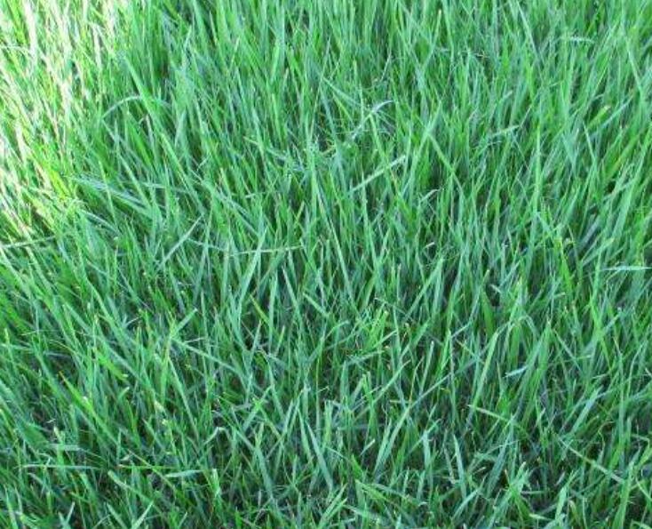 1642056998348048.jpg 1642056998348048.jpg