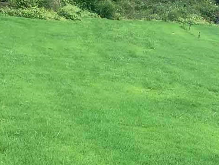 1642235952353651.png 1642235952353651.png