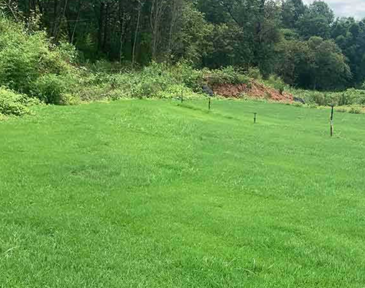 1642235968275601.png 1642235968275601.png