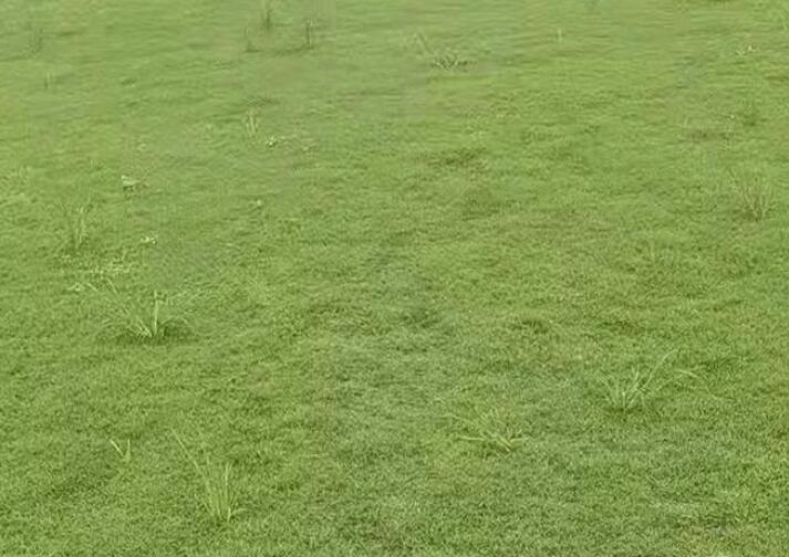 1642237508922053.jpg 1642237508922053.jpg