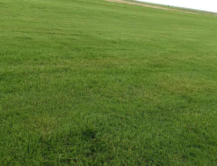 1642237518993193.jpg 1642237518993193.jpg