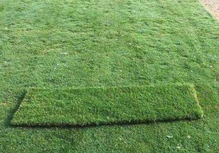 1642304589594657.jpg 1642304589594657.jpg