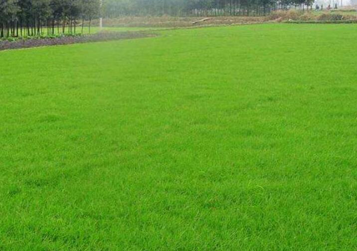 1642304600224695.jpg 1642304600224695.jpg