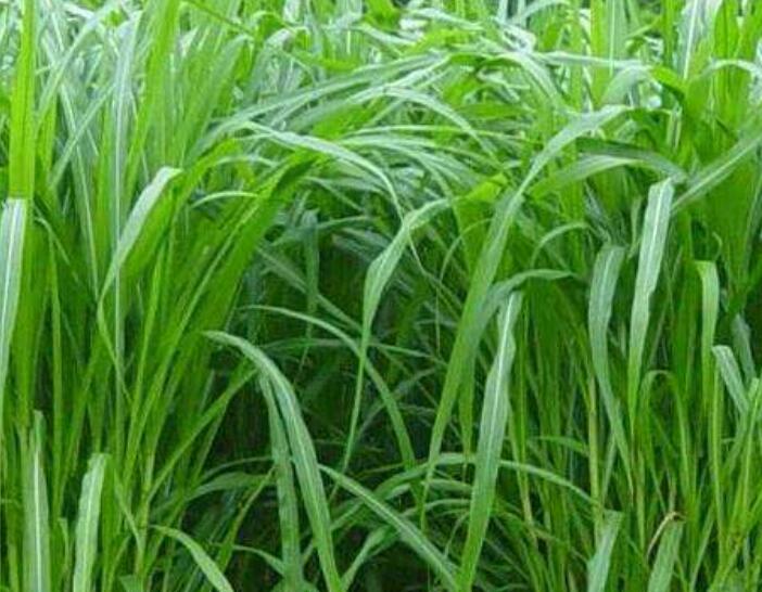 1642305270308590.jpg 1642305270308590.jpg