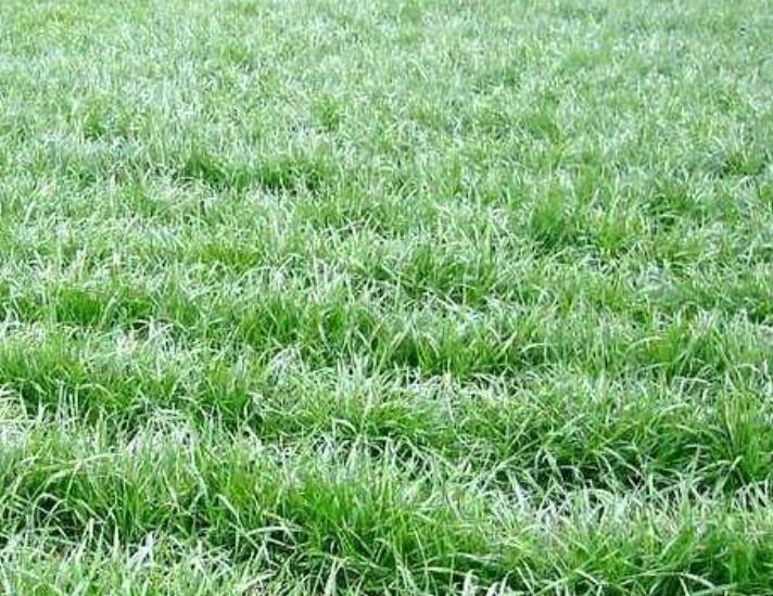 1642308694484902.jpg 1642308694484902.jpg