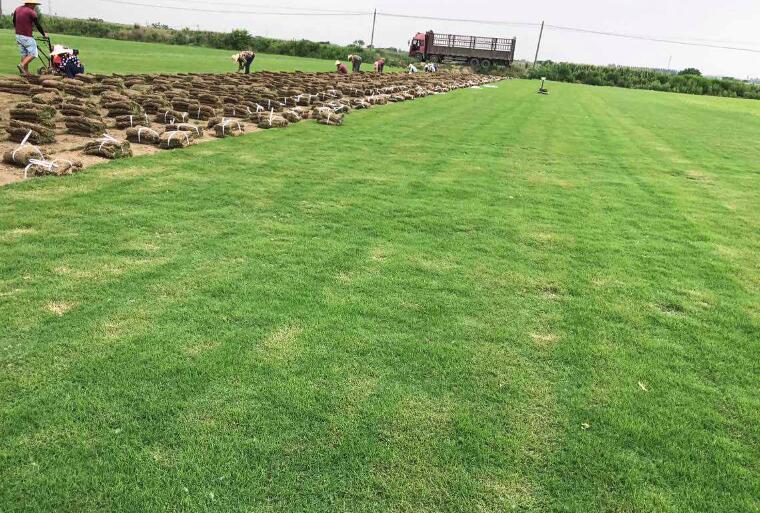 1642311545962734.jpg 1642311545962734.jpg